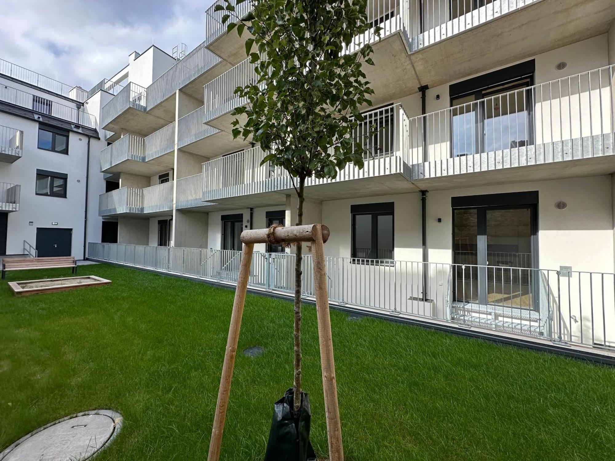 Schoenbrunn Garden Apartments Bécs Kültér fotó